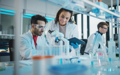 mọi người đang làm việc