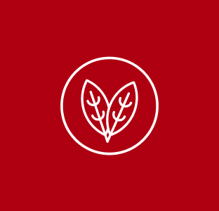 Biểu tượng Vegan