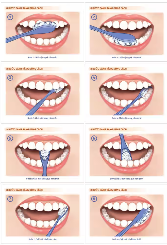 how do I take care of my teeth as an adult
