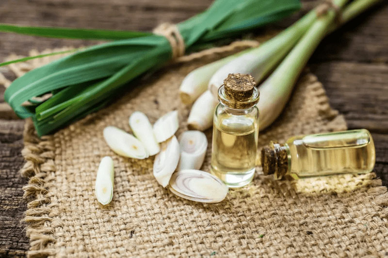 Súc miệng bằng tinh dầu sả để điều trị viêm lợi tại nhà